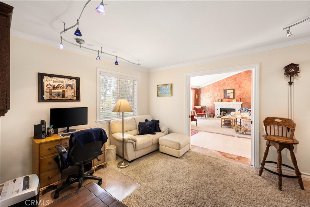 10078 Copper Mountain Court Property Photo 59