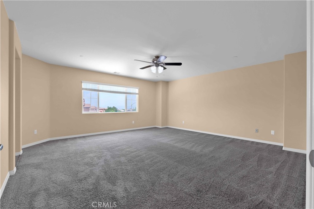 4043 Bristlecone Pine Lane Property Photo 39