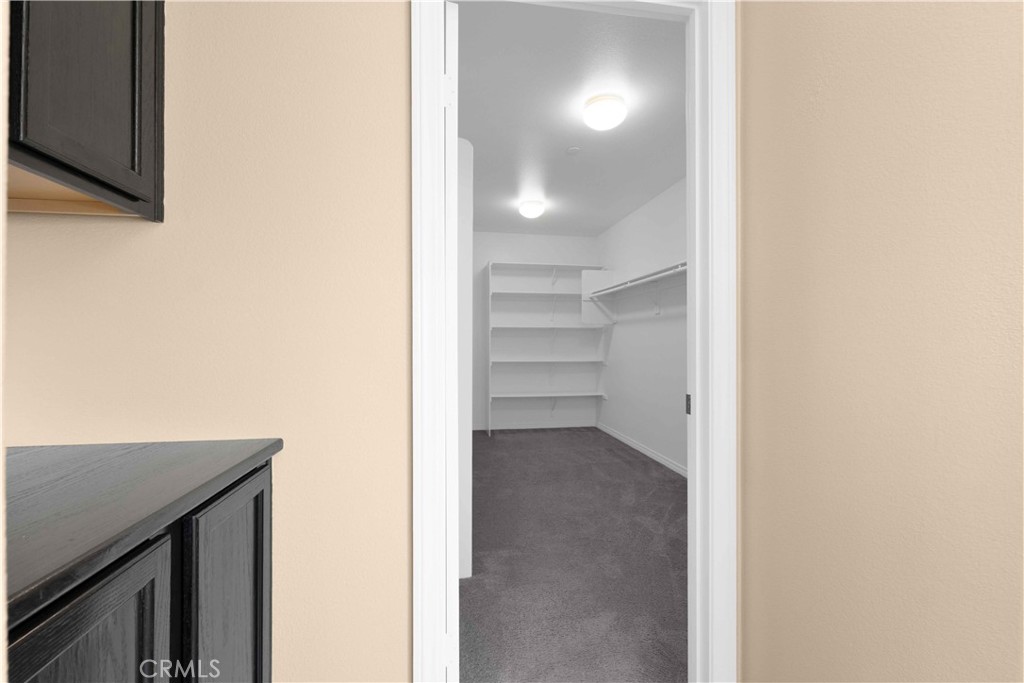4043 Bristlecone Pine Lane Property Photo 42