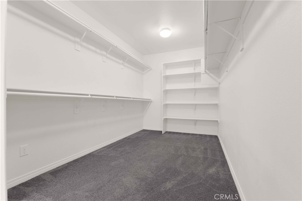 4043 Bristlecone Pine Lane Property Photo 43