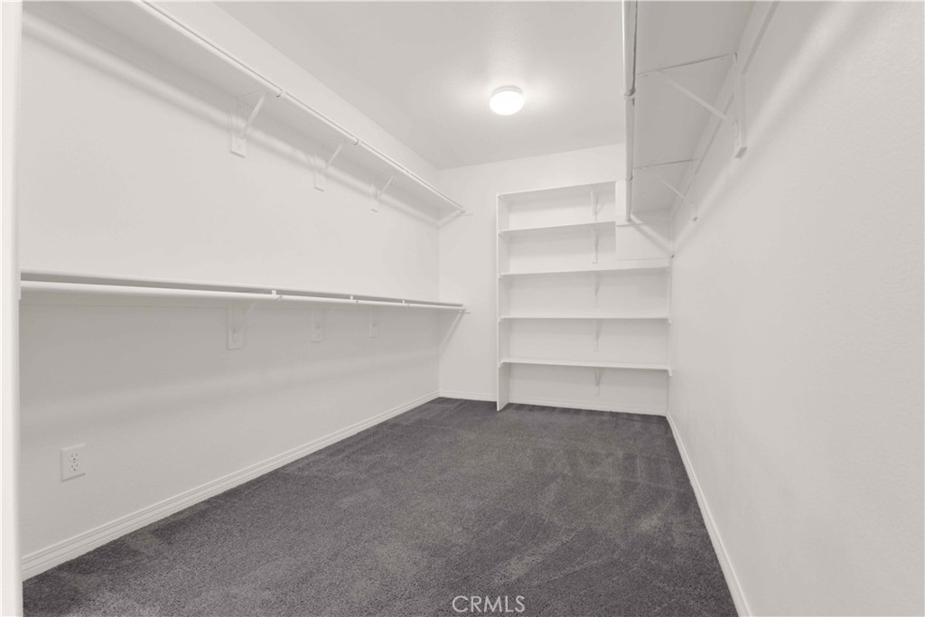 4043 Bristlecone Pine Lane Property Photo 43