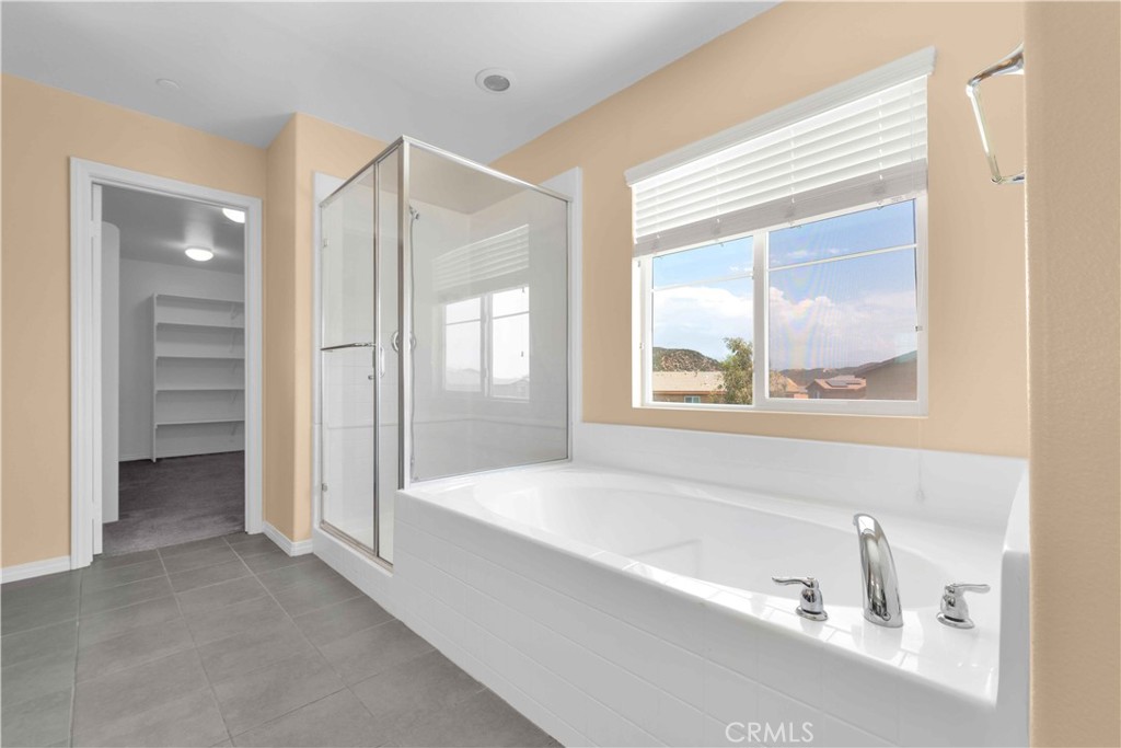 4043 Bristlecone Pine Lane Property Photo 47