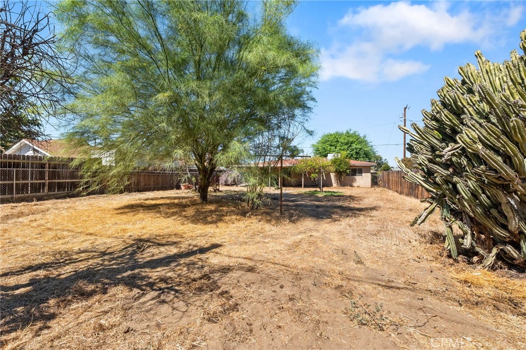 1016 Webster Property Photo 20