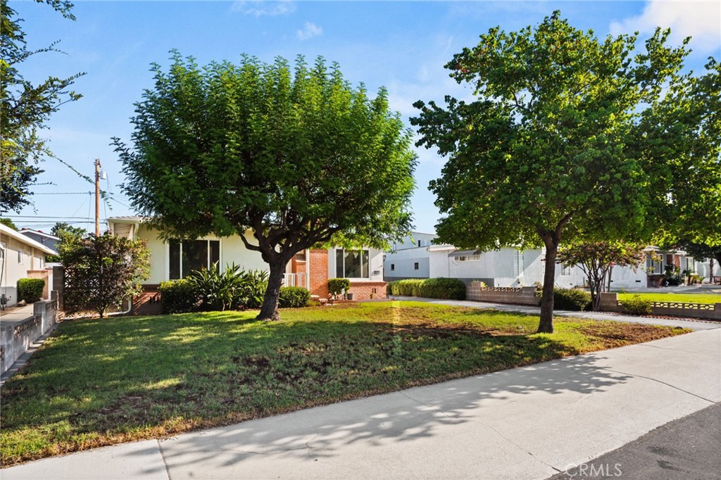 538 W F Street Property Photo 4