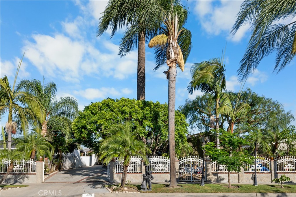 438 Cabana Property Photo 4