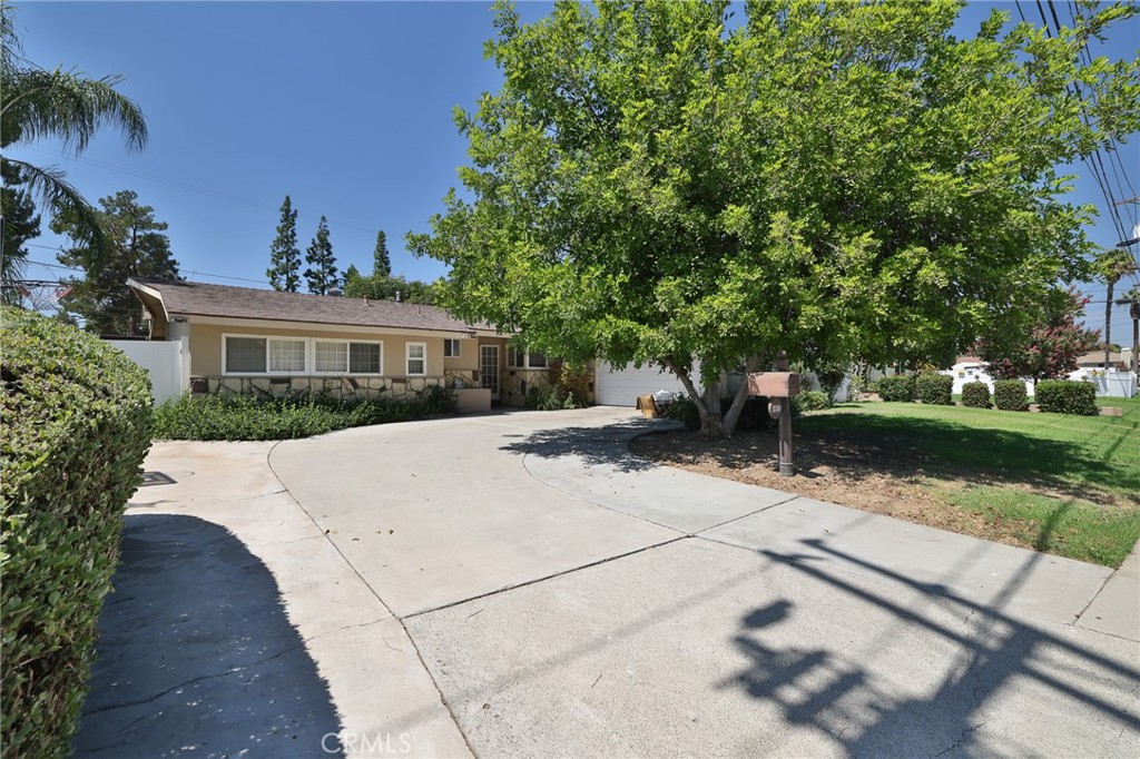 3748 Skylark Property Photo 19