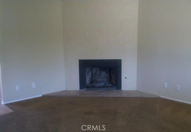22304 Lone Eagle Property Photo 3
