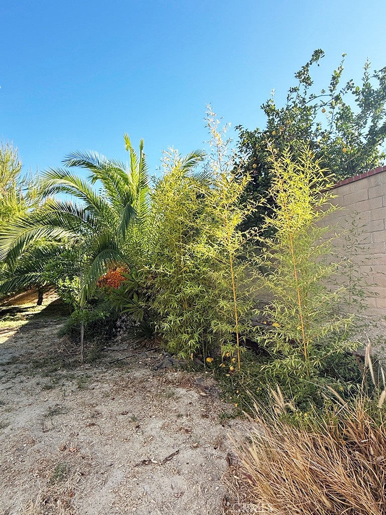 19320 Eureka River Place Property Photo 41