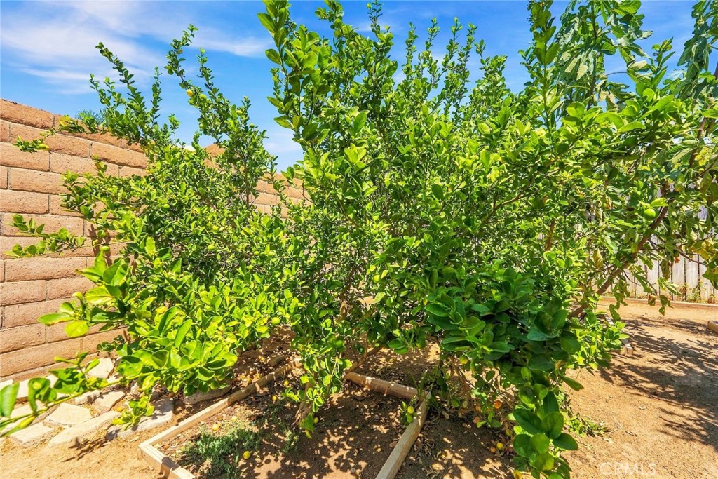 4263 Baggett Property Photo 41
