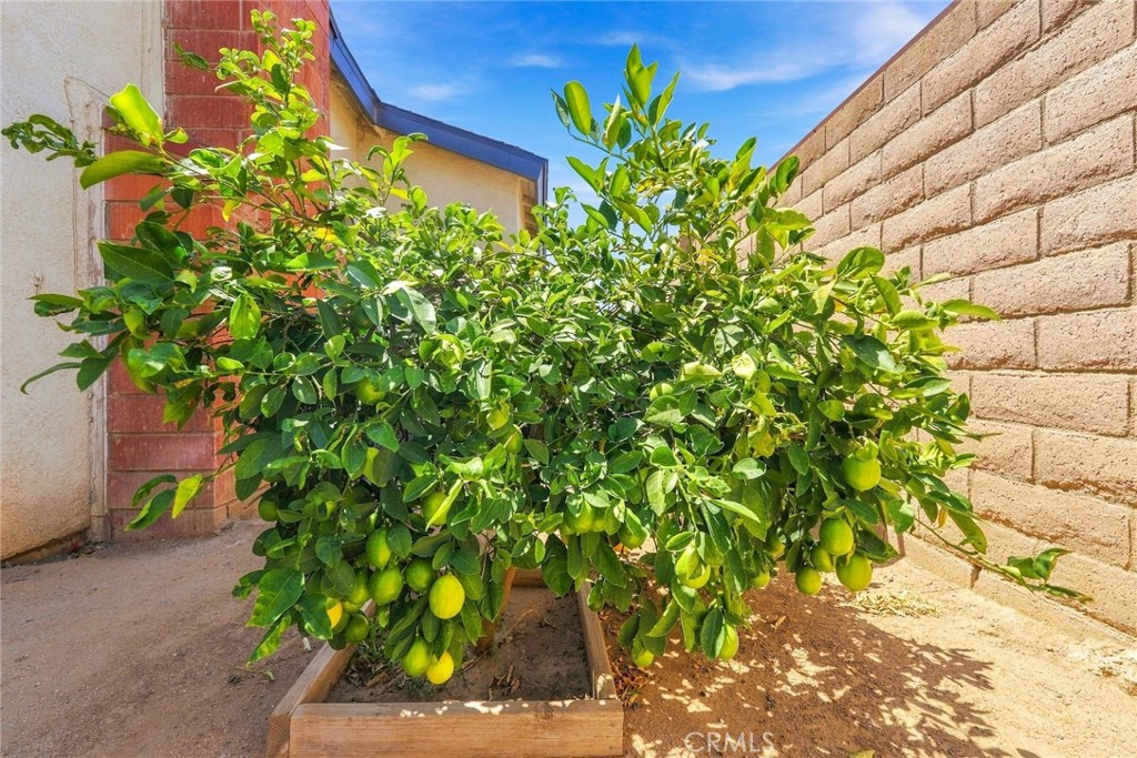 4263 Baggett Property Photo 42