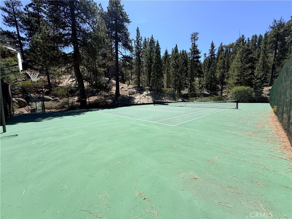38595 Talbot Drive Property Photo 41