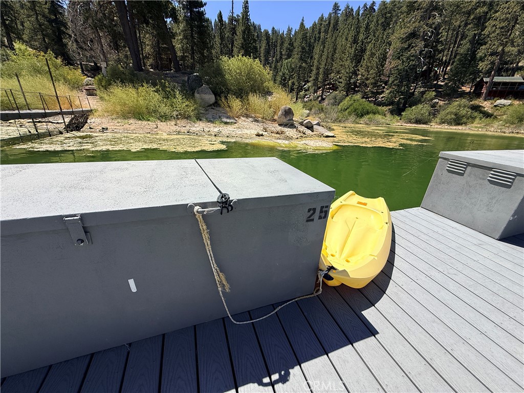 38595 Talbot Drive Property Photo 45