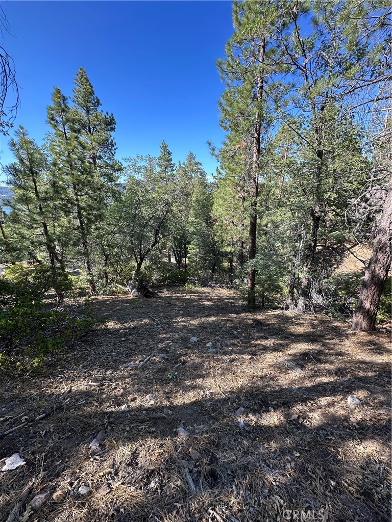 41089 Maryland Road Property Photo 3