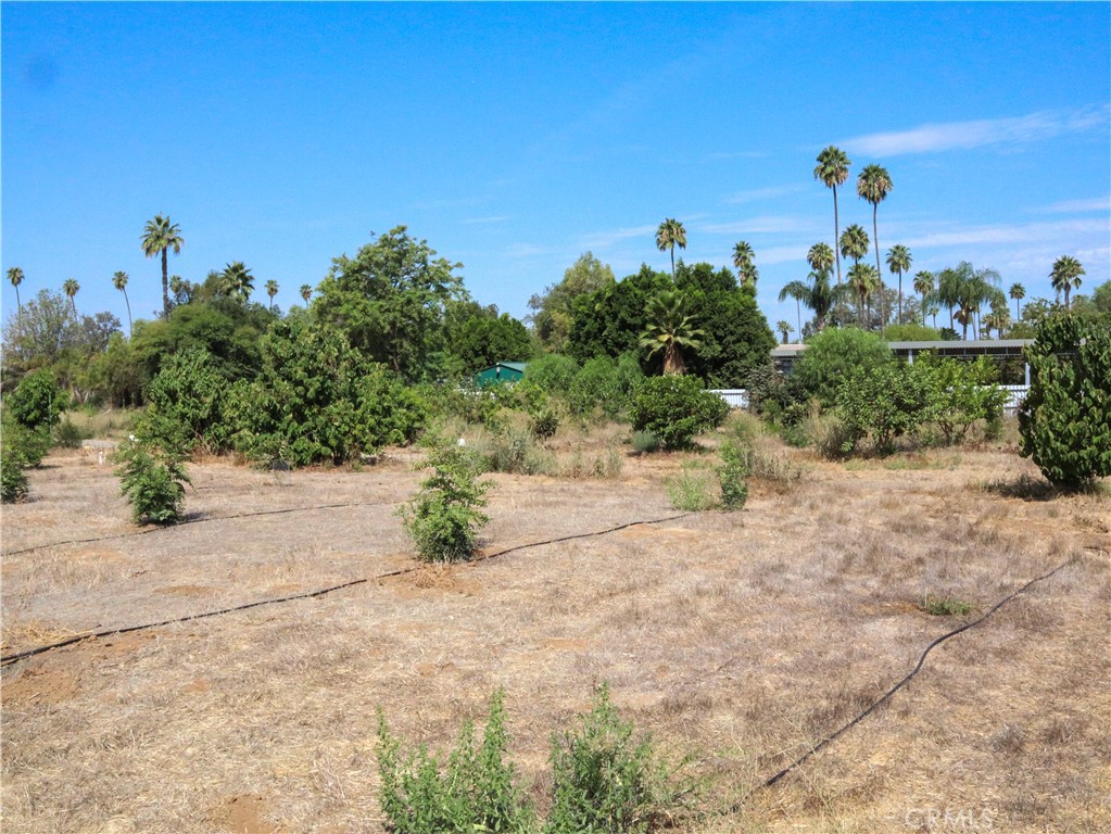 2523 Jefferson Street Property Photo 51