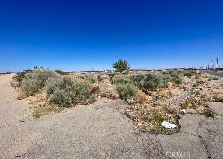 11252 Cactus Property Photo 9