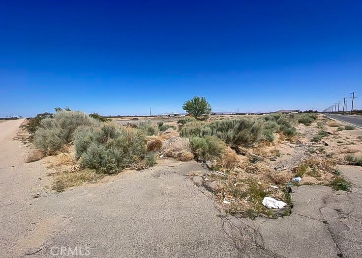 11252 Cactus Property Photo 14