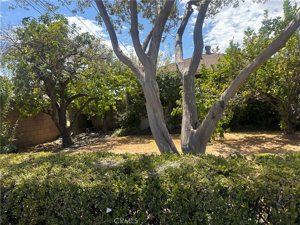 334 1/2 Edgley Dr Property Photo 2