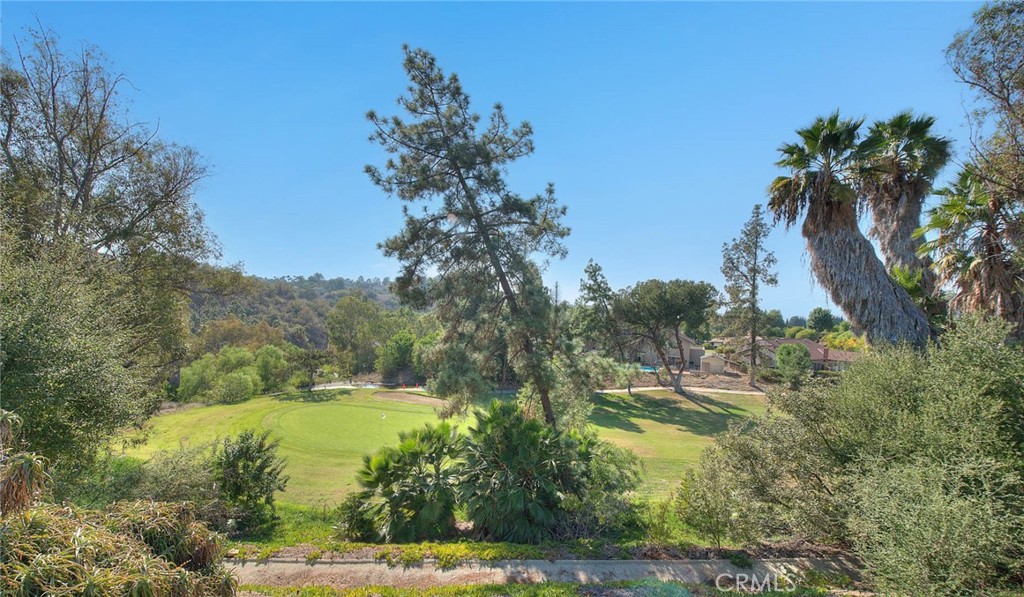 1801 Via Palomares Property Photo 66