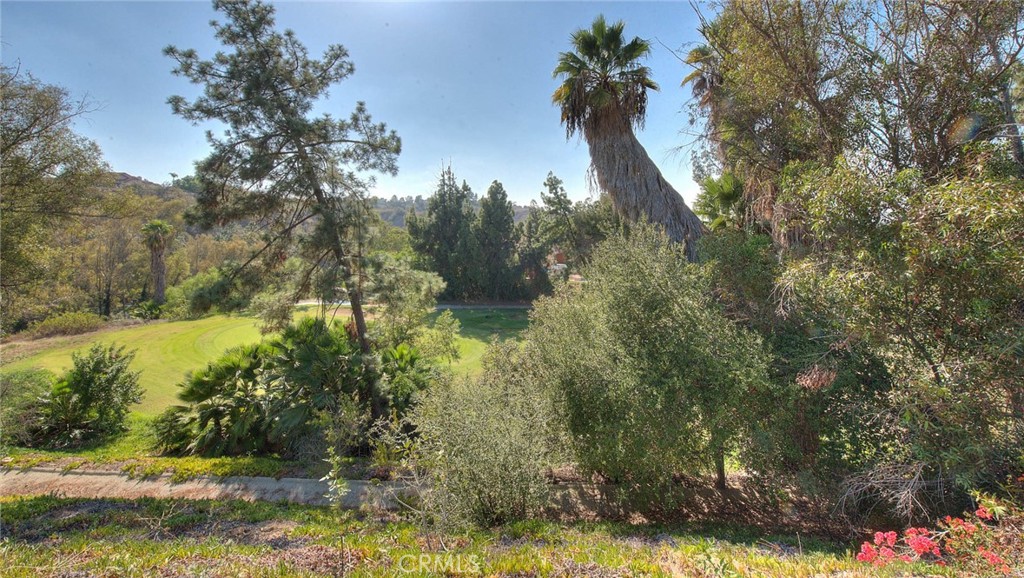 1801 Via Palomares Property Photo 67