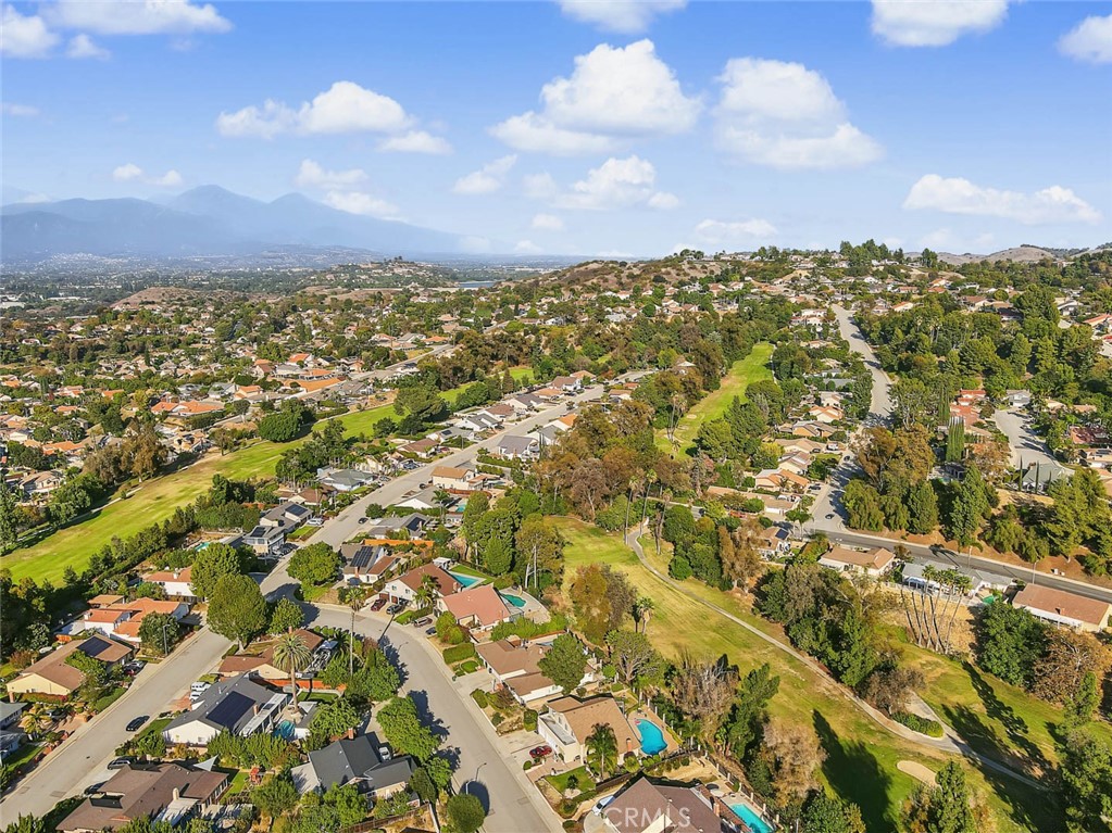 1801 Via Palomares Property Photo 71
