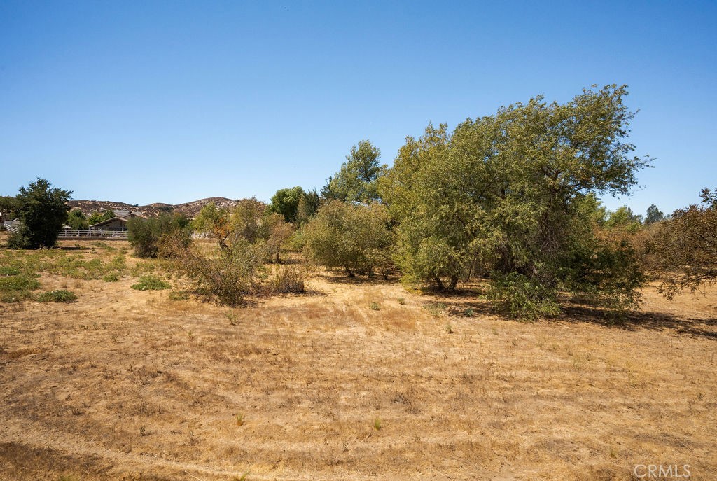 31645 Melvin Street Property Photo 53