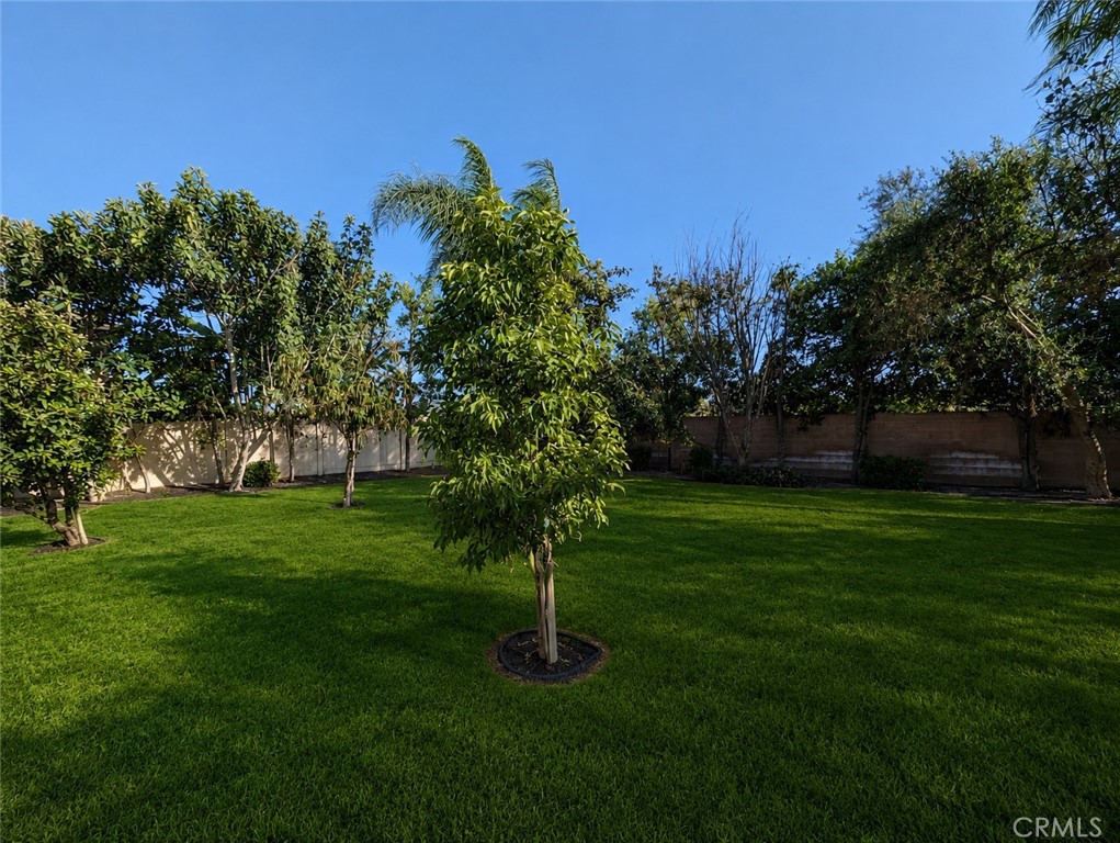 7297 Meurice Circle Property Photo 23
