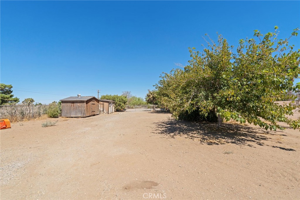 10245 Joshua Road Property Photo 56