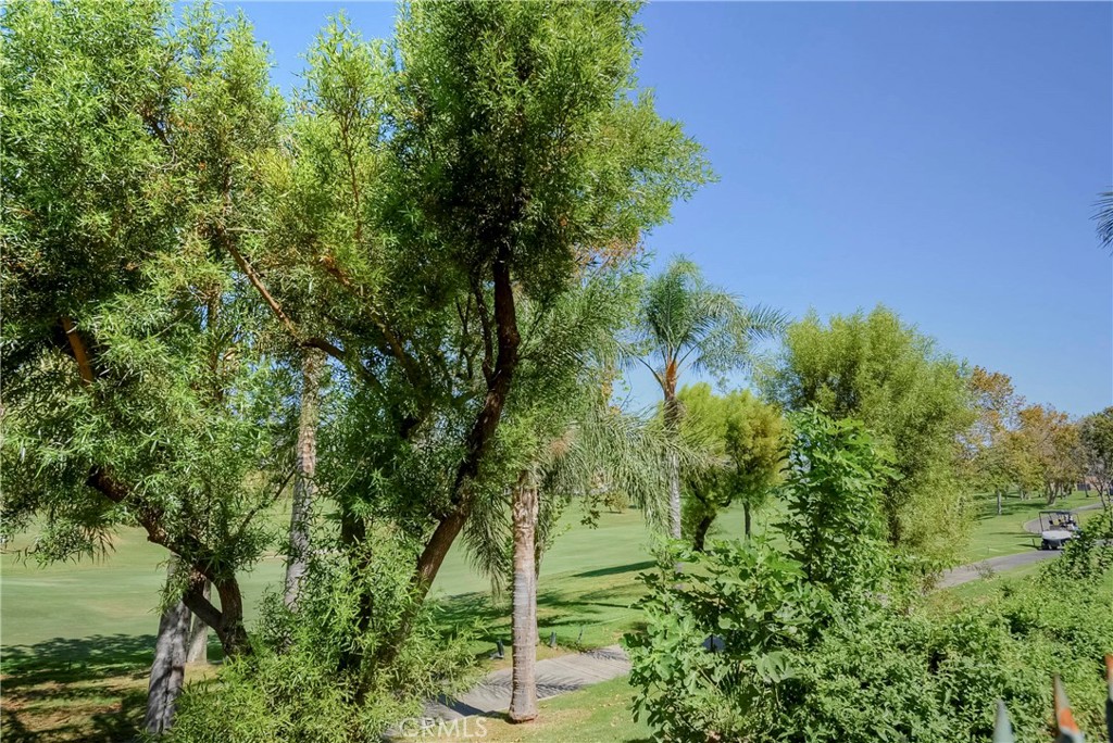 6184 Medinah Property Photo 32
