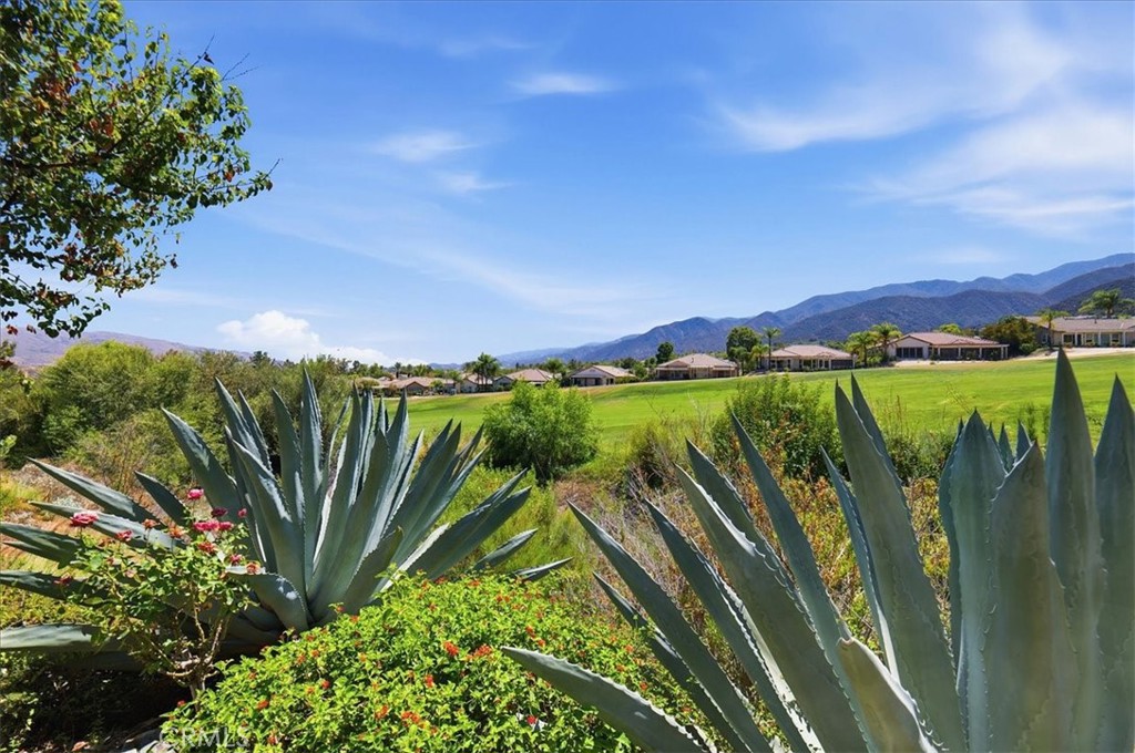 8879 Cuyamaca Property Photo 31