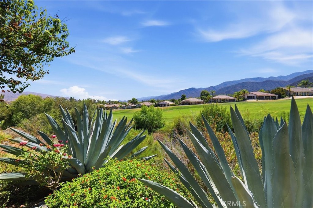 8879 Cuyamaca Property Photo 32