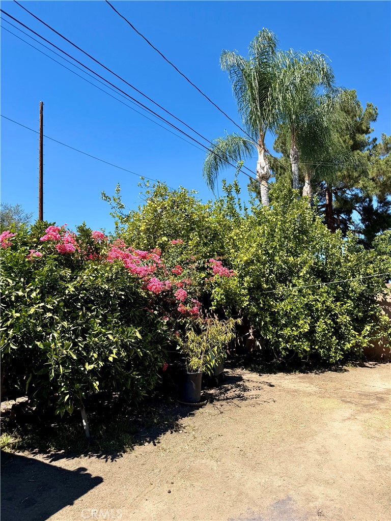 1245 Ross Property Photo 22
