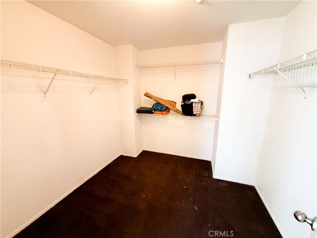 7565 Blue Mist Court Property Photo 15