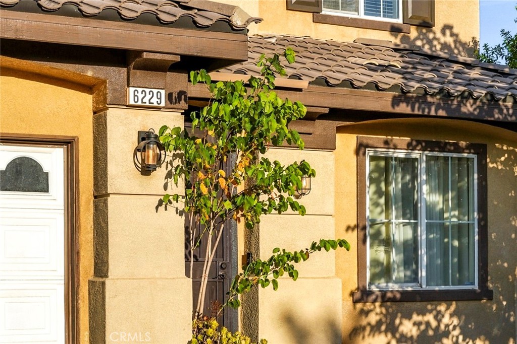 6229 Eaglemont Property Photo 4