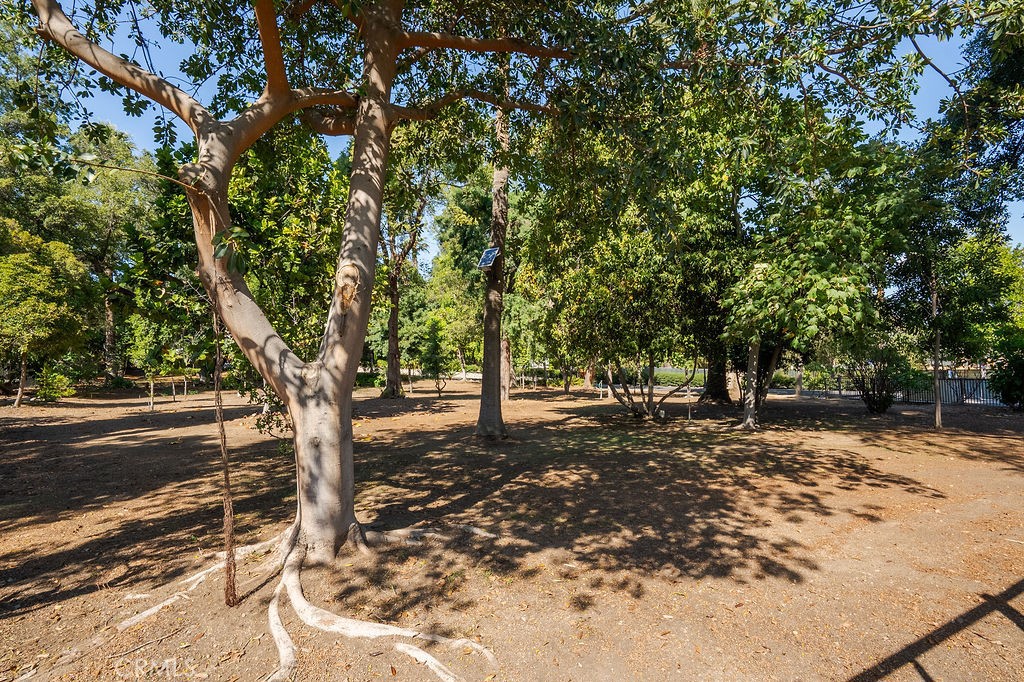 821 E Cassia E Property Photo 39