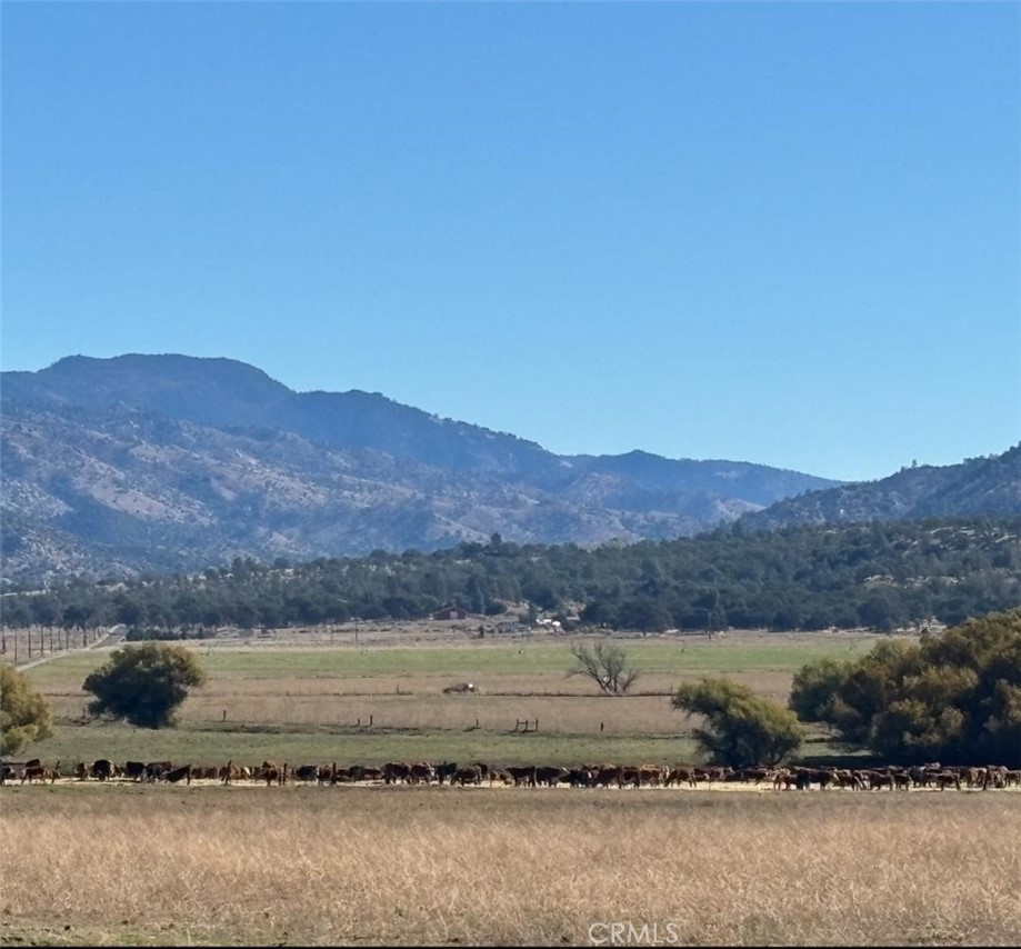 18266 Caliente Creek Road Property Photo 14