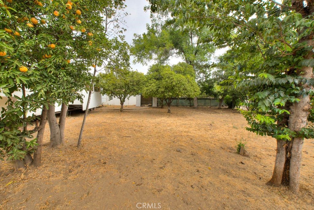 2803 Ladera Road Property Photo 49