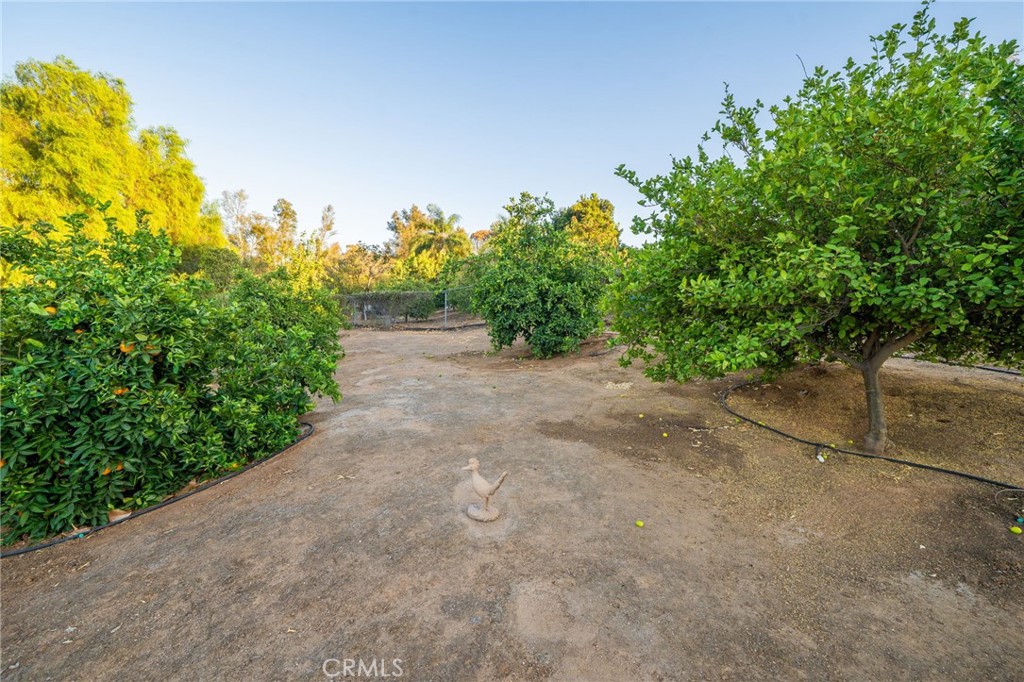 16401 Orangewind Lane Property Photo 41