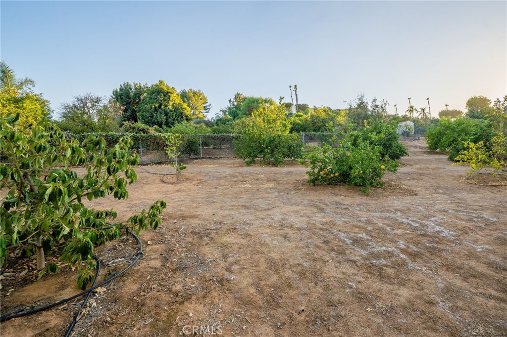 16401 Orangewind Lane Property Photo 42