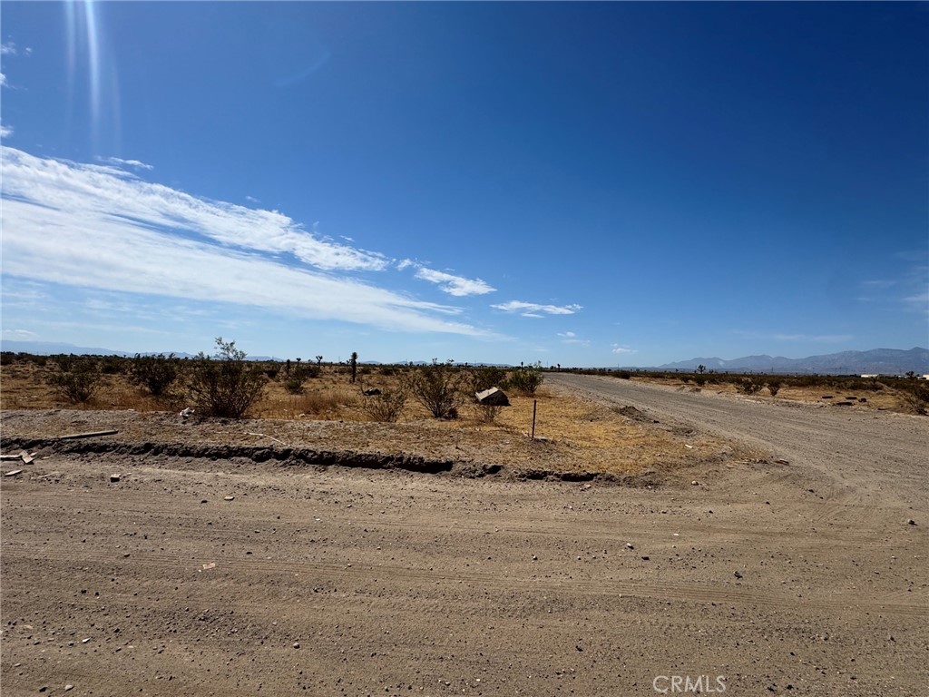 10501 Holly Road Property Photo 2