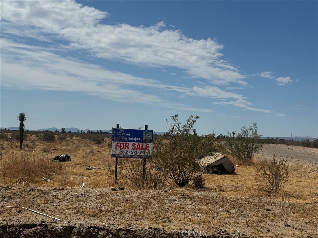 10501 Holly Road Property Photo 7