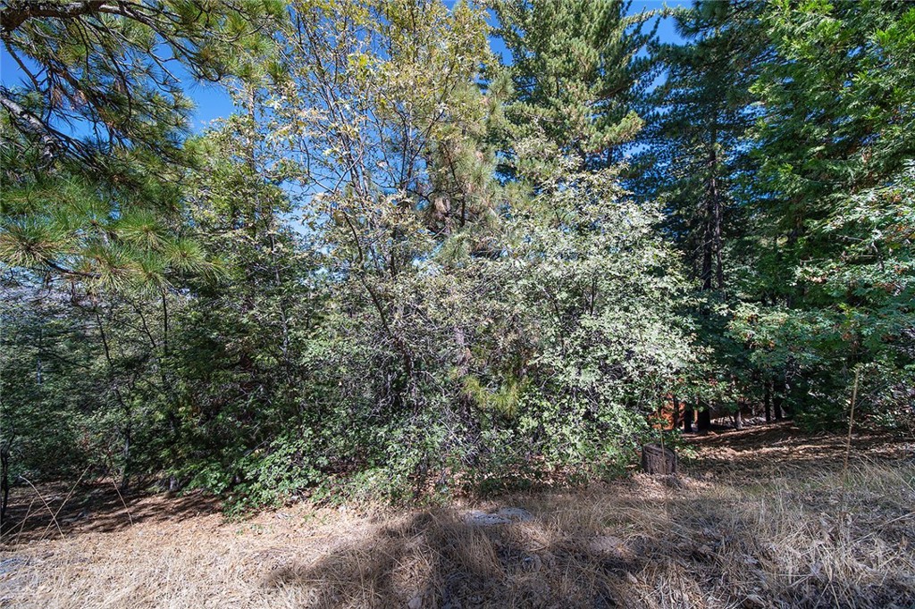 0 Evergreen Property Photo 7