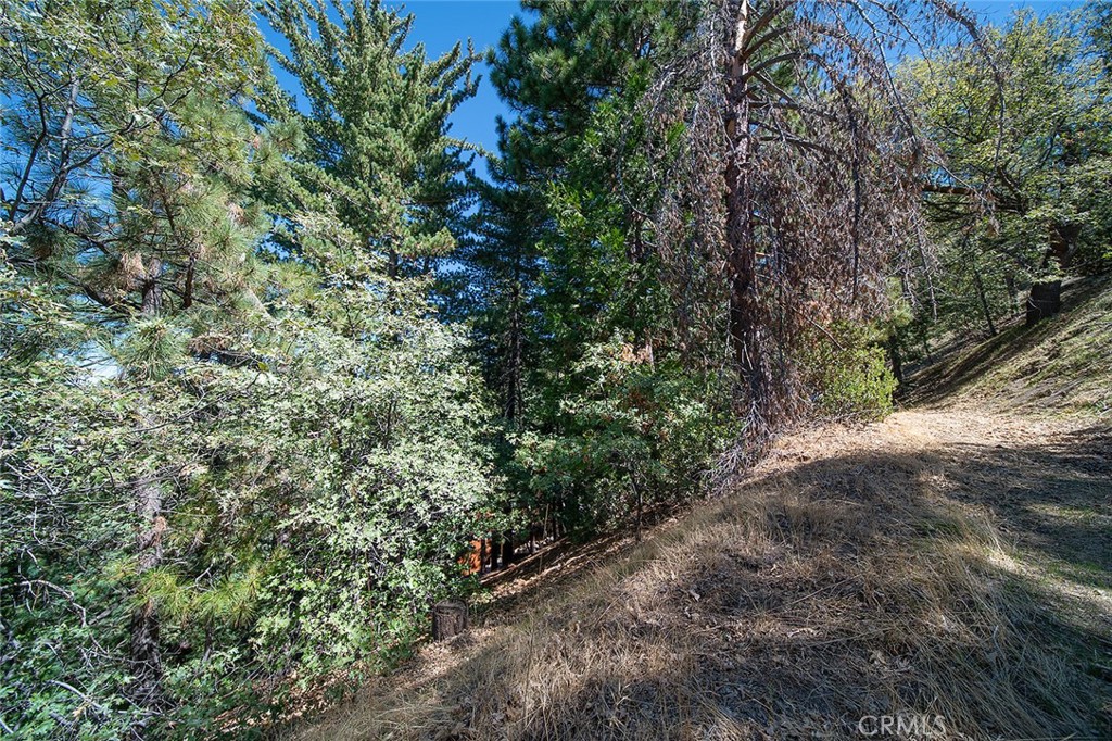 0 Evergreen Property Photo 8