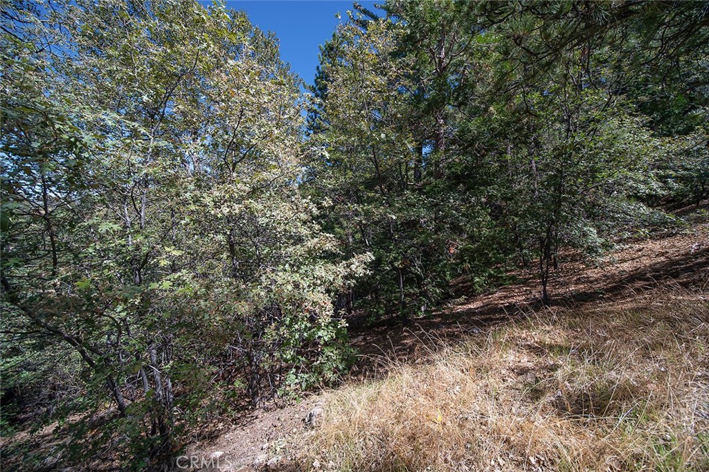 0 Evergreen Property Photo 9
