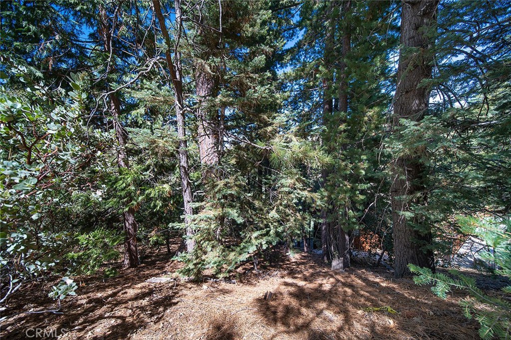 0 Evergreen Property Photo 10