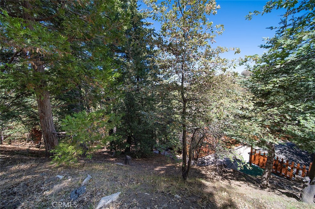 0 Evergreen Property Photo 11
