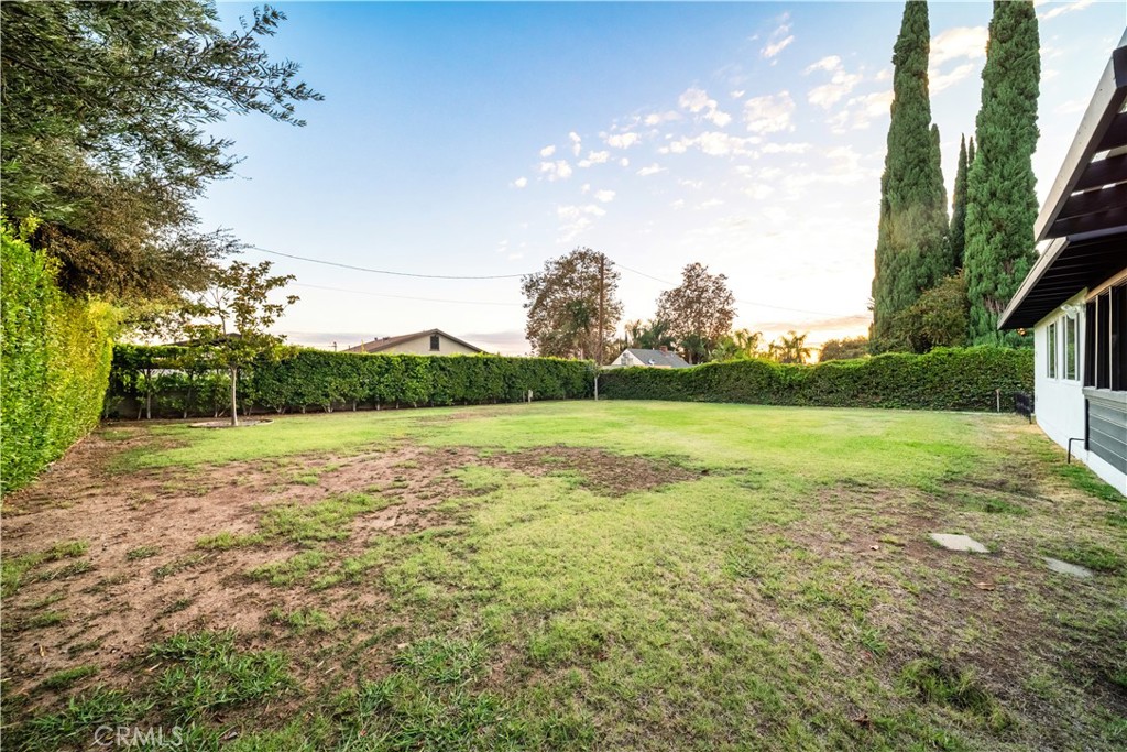 4024 Williams Property Photo 33