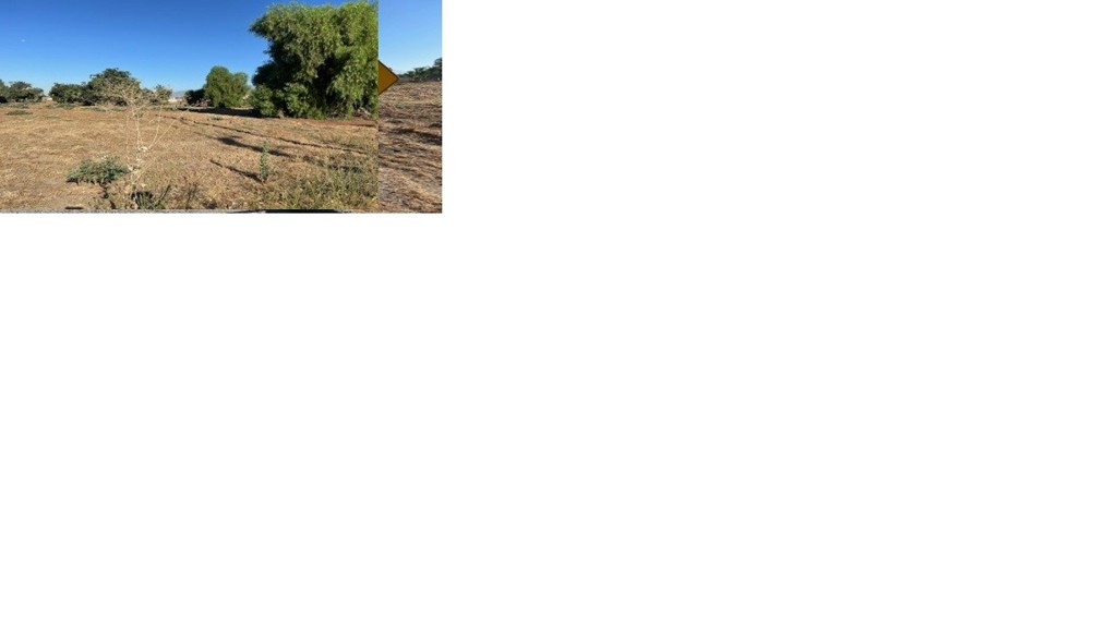 8428 Banana Property Photo 3
