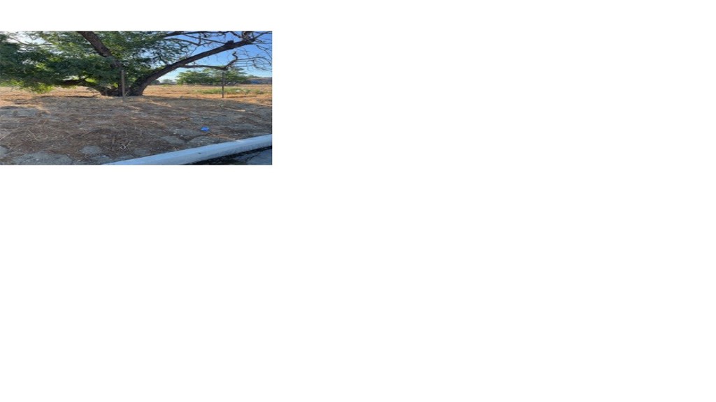 8428 Banana Property Photo 4
