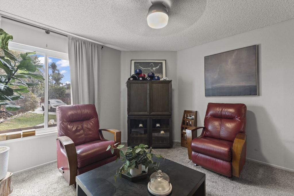 29042 Jasmine Creek Property Photo 16