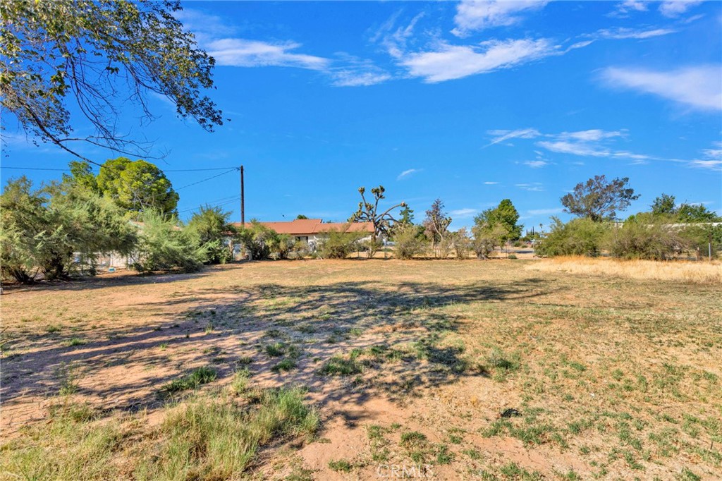 20800 Sholic Property Photo 25